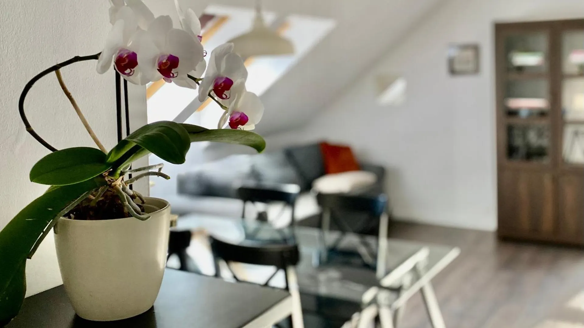 Apartment Storczykowa Airport location