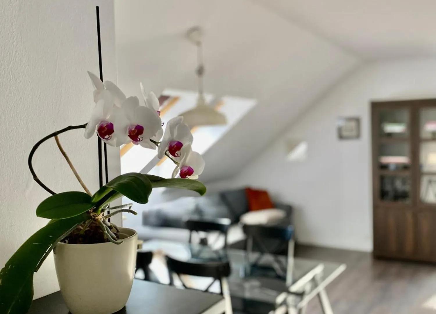 Apartment Storczykowa Airport Gdansk 0*,  Poland
